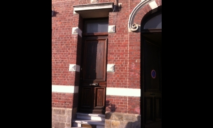 Porte d'entrÃ©e PVC Marron - Cambrai 59